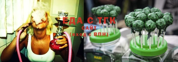 ECSTASY Бородино