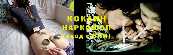 ECSTASY Бородино
