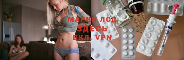 ECSTASY Бородино