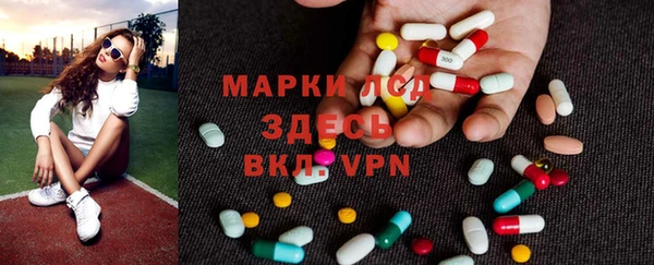 ECSTASY Бородино