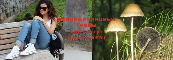крисы Зеленокумск