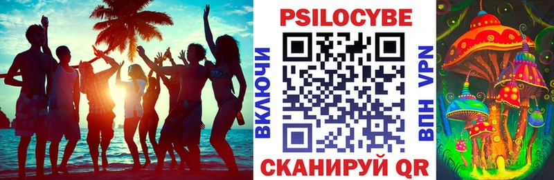 blacksprut   Островной  Галлюциногенные грибы GOLDEN TEACHER 